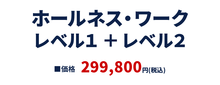 ホールネス・ワーク レベル1セミナー+レベル2