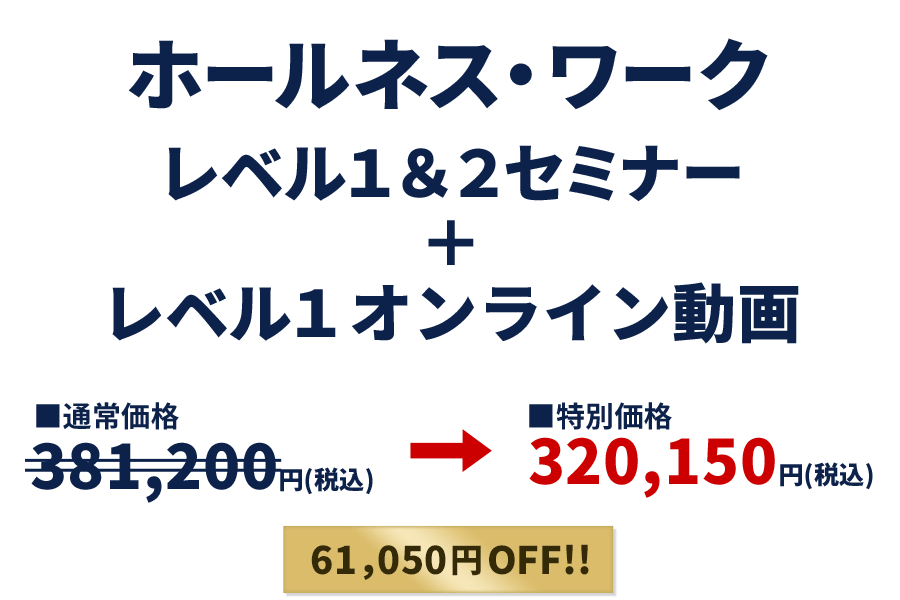 ホールネス・ワーク レベル1&2セミナー+レベル1オンライン動画)