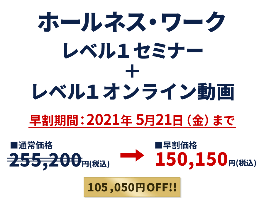 ホールネス・ワーク レベル1セミナー+レベル1オンライン動画