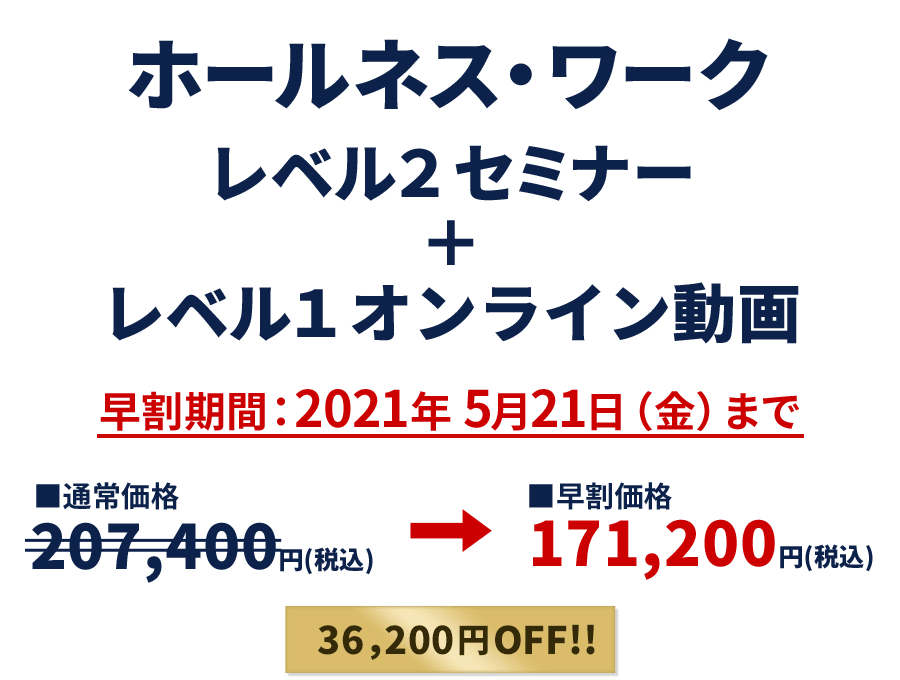 ホールネス・ワーク レベル2セミナー+レベル1オンライン動画